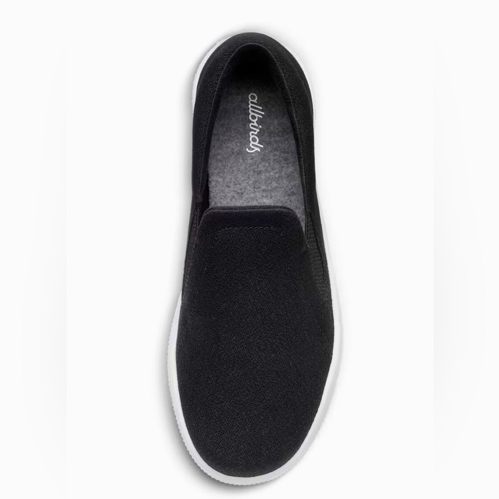 allbirds lounge canvas shoe.